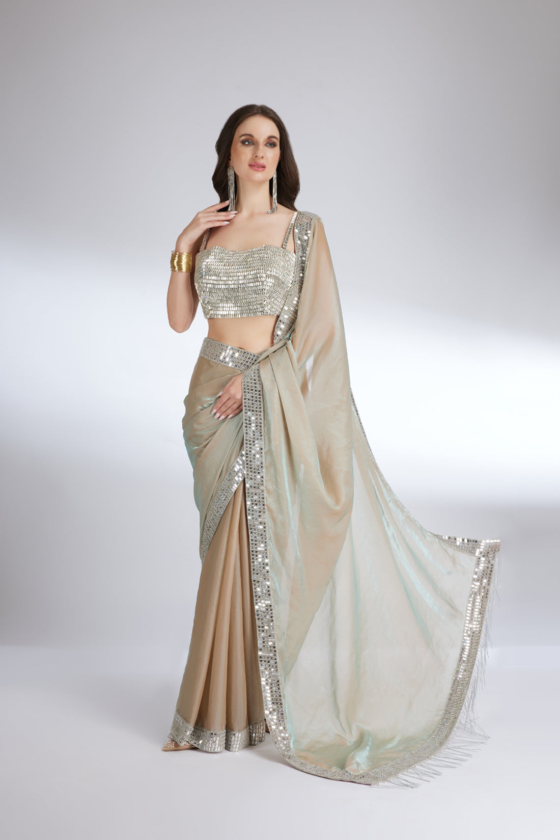 MUTED CHAMPAGNE METALLIC SAREE