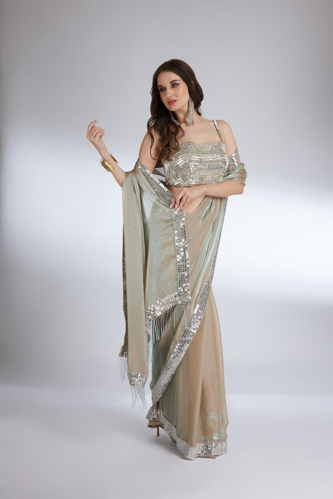MUTED CHAMPAGNE METALLIC SAREE